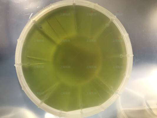 주문 4인치 6인치 4H-N 500mm 350um SIC 웨이퍼 실리콘 카바이드 sic 기판 프라임 더미 그레이드 온라인 제조